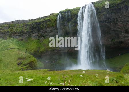 Seljalandsfoss fällt im Sommer Aussicht, Island. Isländische Landschaft. Stockfoto