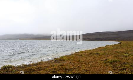 Island Landschaft. Thrihyrningsvatn Lakeshore, Zentral-Island. Isländische Landschaft Stockfoto