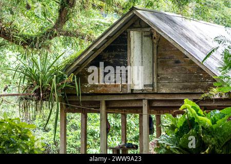 Trinidad Lopinot Historical Complex Stockfoto