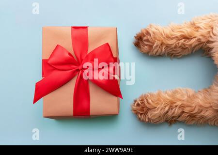 Hund mit Weihnachtsgeschenkkasten, in ein rotes Band gewickelt Stockfoto