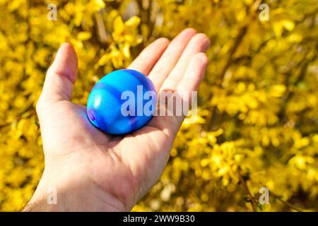 Augsburg, Bayern, Deutschland - 22. März 2024: Hand hält ein blaues Osterei bei der Eiersuche zu Ostern Stockfoto