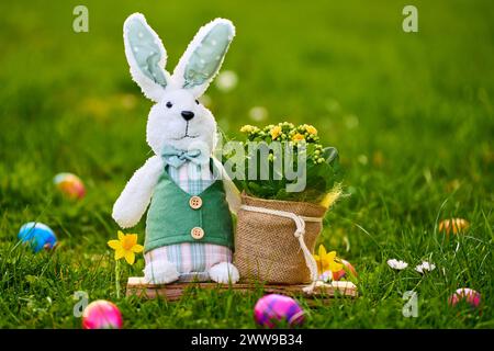 Augsburg, Bayern, Deutschland - 22. März 2024: Plüsch Osterhase mit Frühlingsblumen auf einer grünen Wiese mit bunten Ostereiern *** Plüsch Osterhase mit Frühlingsblumen in einer grünen Wiese mit bunten Ostereiern Stockfoto