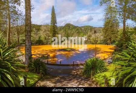 Tauchen Sie ein in das einzigartige eisenreiche Wasser des Parque Terra Nostra, Sao Miguel, einer Oase von Thermalquellen inmitten der grünen Azoren-Gärten. Stockfoto