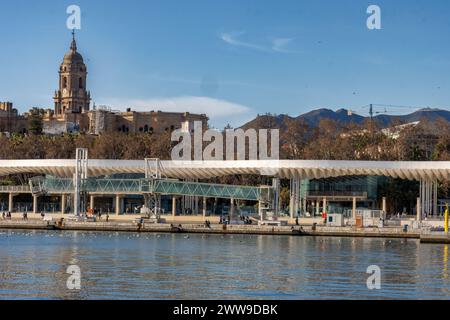 Vista desde el puerto y muelle 1 del Palmeral de las Sorpresas y la Catedral. Málaga, España Stockfoto