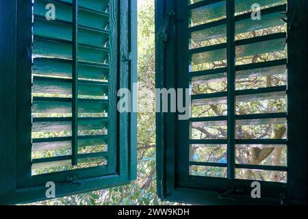 An einem sonnigen Tag bedeckt der grüne alte Rollladen das Fenster Stockfoto