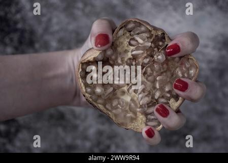 Eine junge Frau hält einen Bio-Granatapfel auf hölzernem Hintergrund, Nahaufnahme, Makrofotografie Stockfoto