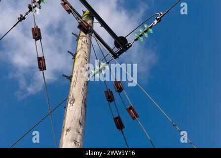 UK 33KV Strommasten mit Guy Seilisolierungen Stockfoto