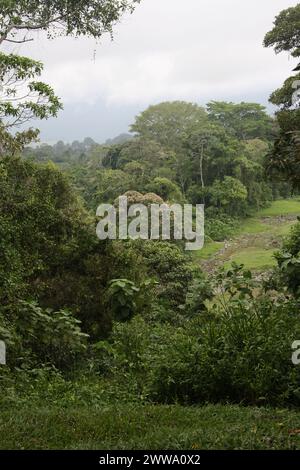 Indisches Zeremonialzentrum, Guayabo, Costa Rica. Stockfoto