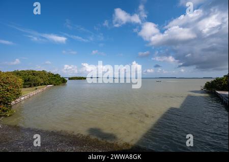 Blick auf die Florida Bay vom Guy Bradley Visitor Center im Flamingo im Everglades National Park, Florida am sonnigen Märznachmittag. Stockfoto