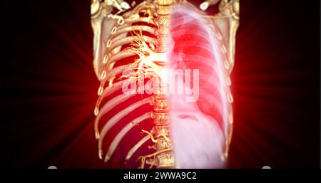 CTA 3D-Rendering der thorakalen Aorta bietet eine detaillierte Visualisierung und liefert klare Einblicke in die Anatomie, Pathologie und die umgebenden Strukturen der Aorten für Stockfoto