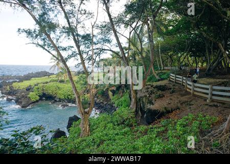 Keanae Lookout in maui, hawaii. Hochwertige Fotos Stockfoto