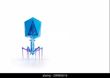 Darstellung eines Escherichia-Virus-T4-Bakteriophagen an einem E. coli-Bakterium. Der Bakteriophage, oder Phage, infiziert und repliziert innerhalb von Bakterien und kann für die Phagentherapie verwendet werden. Stockfoto