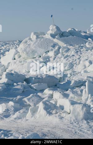 Flagge einer Inupiaq-Walfangcrew, die an einer Harpune im Packeis-Chukchi-Meer vor der Küste des arktischen Dorfes Barrow, Alaska, befestigt ist Stockfoto