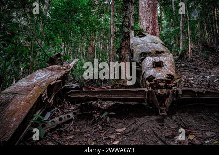 Die verfallenen Überreste eines Kriegsflugzeugs, das im dichten Wald aufgegeben wurde. Stockfoto