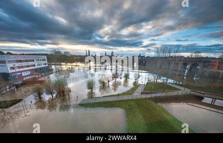 Extreme Wetterbedingungen, ausgedehnte Überschwemmungen, nach starkem, anhaltendem Regen und Stürmen, hohen, überwältigenden Flusswasserständen, Schwäne schwimmen vorher trocken Stockfoto