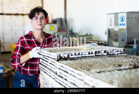 Porträt einer Bauernarbeiterin, die Kartons mit Gemüsesamen im Stapel auf das Gewächshaus lade Stockfoto