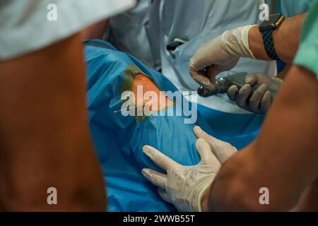 Patient auf der Schockstation auf der Intensivstation eines Universitätsklinikums. Stockfoto