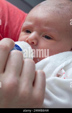 Vater gibt die Flasche seinem Kind auf der Entbindungsstation. Stockfoto