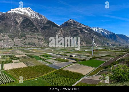 Felder und Plantagen für den Obst- und Gemüseanbau mit einer Windenergieanlage Enercon E-101 im Rhonetal, Charrat, Wallis, Schweiz Stockfoto