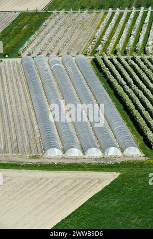 Tunnelgewächshäuser für den Gemüseanbau im Charrat-Sächsischen Obst- und Gemüseanbaugebiet im Rhonetal, Charrat, Wallis, Schweiz Stockfoto