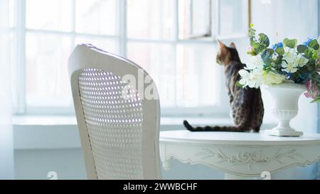 Die bengalische Katze sitzt auf einem Tisch mit einem Blumenstrauß in einer Vase in einem klassischen hellen Interieur und blickt aus dem Fenster. Stockfoto