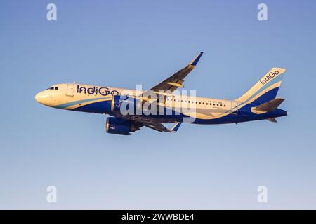 Dubai, Vereinigte Arabische Emirate - 17. Februar 2024: Flugzeug des Indigo Airbus A320neo am Flughafen Dubai (DXB) in den Vereinigten Arabischen Emiraten. Stockfoto