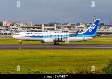 Osaka, Japan - 1. Oktober 2023: ANA All Nippon Airways Boeing 737-800 am Flughafen Osaka Itami (ITM) in Japan. Stockfoto