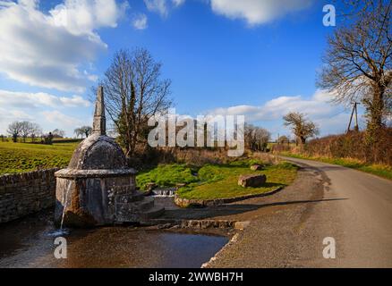 Das 17. Jahrhundert, italienischer Barock, Stroan Fountain, auch bekannt als der Büschelbrunnen, auf einer Landstraße bei Kilfane im County Kilkenny, Irland. Stockfoto