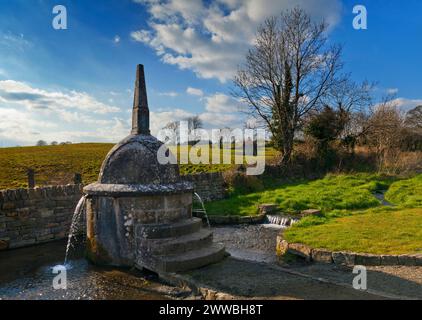 Das 17. Jahrhundert, italienischer Barock, Stroan Fountain, auch bekannt als der Büschelbrunnen, auf einer Landstraße bei Kilfane im County Kilkenny, Irland. Stockfoto