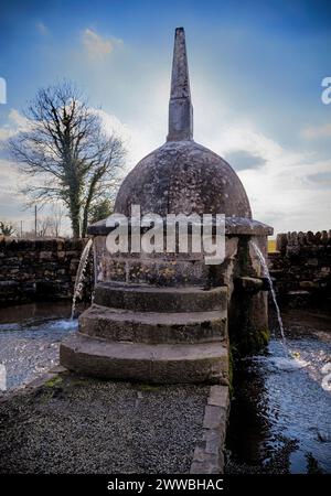 Das 17. Jahrhundert, italienischer Barock, Stroan Fountain, auch bekannt als der Büschelbrunnen, auf einer Landstraße bei Kilfane im County Kilkenny, Irland. Stockfoto