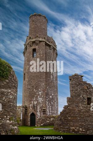 Der alte Folly Tower in Ballyfin Demesne im County Laois, erbaut von Sir Richard und William Vitruvius Morrison in den 1820er Jahren Stockfoto