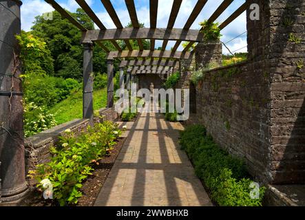 Die Pergola in den „Italian Gardens“ in Heywood bei Ballinakill im County Laois, Irland, wurde 1912 von Sir Edwin Lutyens entworfen. Stockfoto