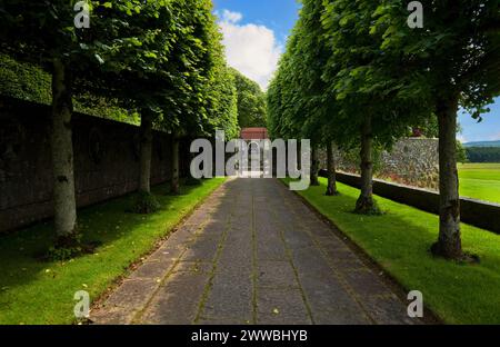 Der belaubte Lindengang in den „Italian Gardens“ in Heywood bei Ballinakill im County Laois, Irland, der 1912 von Sir Edwin Lutyens entworfen wurde. Stockfoto