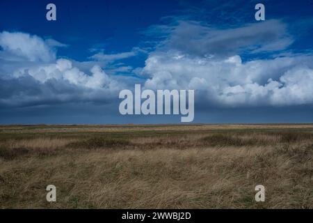 DNK, Wetterfeature Romo - Lakolk Strand / 23.03.2024, Lakolk Strand, Romo, DNK, Wetterfeature Romo - Lakolk Strand, im Bild Frühlingswetter in Dänemark *** DNK, Wetterfeature Romo Lakolk Strand 23 03 2024, Lakolk Strand, Romo, DNK, Wetterfeature Romo Lakolk Strand, im Bild Frühjahrswetter in Dänemark Nordfoto GmbHxKokenge nph00001 Stockfoto