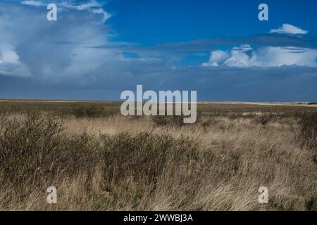 DNK, Wetterfeature Romo - Lakolk Strand / 23.03.2024, Lakolk Strand, Romo, DNK, Wetterfeature Romo - Lakolk Strand, im Bild Frühlingswetter in Dänemark *** DNK, Wetterfeature Romo Lakolk Strand 23 03 2024, Lakolk Strand, Romo, DNK, Wetterfeature Romo Lakolk Strand, im Bild Frühjahrswetter in Dänemark Nordfoto GmbHxKokenge nph00001 Stockfoto