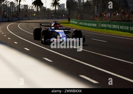 Melbourne, Australien. März 2024. Daniel Ricciardo fährt den (3) VCARB 01 Honda im Qualifying vor dem Formel 1 Grand Prix von Australien auf der Albert Park Grand Prix Strecke. (Foto: George Hitchens/SOPA Images/SIPA USA) Credit: SIPA USA/Alamy Live News Stockfoto