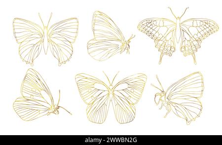 Goldener Schmetterling Linie Illustration Set. Goldene Illustration mit Schmetterling. InsektenSchmetterling für Aufkleber, Tattoo, Silhouette, Sammelalbum Stock Vektor