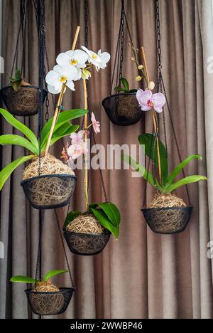 Leerer Hängetopf für Orchideen an der Wand aus weißen Ziegeln Stockfoto