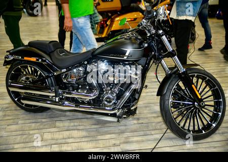 Harley-Davidson Breakout 117, Milwaukee-Eight™ 117 V-Twin Motobike Istanbul Stockfoto