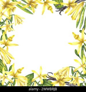 Aquarellfarben-Vanilleblüten und Stickerrahmen. Handgezeichnete Aquarellillustration von floralen Gewürzen auf einem weißen isolierten Hintergrund. Quadratischer Rahmen mit Stockfoto