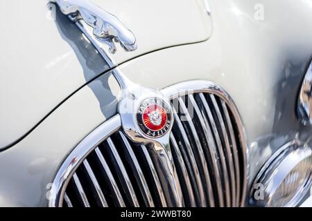 LINTHE, DEUTSCHLAND - 27. MAI 2023: Die Haubenverzierung des mittelgroßen Luxusautos Jaguar Mark 2 (Jaguar in the Jump), Nahaufnahme. Die Oldtimer Show 2023. Stockfoto