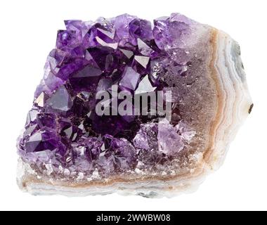 Nahaufnahme der Probe von Naturstein aus geologischer Sammlung - Geode von Amethyst-Mineralkristallen isoliert auf weißem Hintergrund Stockfoto