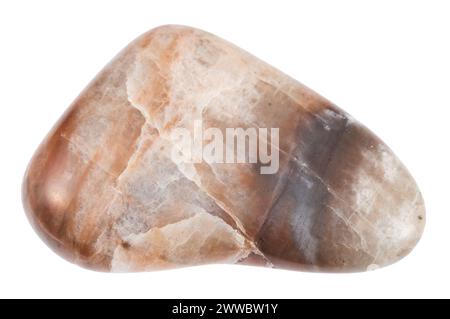 Nahaufnahme einer Probe von Naturstein aus der geologischen Sammlung - poliertes Nephelingestein isoliert auf weißem Hintergrund Stockfoto