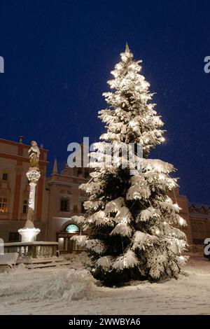 Weihnachtsbaum In Eggenburg, Niederösterreich, Österreich Stockfoto