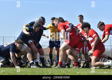 Freundliches Rugby-Spiel zwischen Rumänien U18-Team gegen Polen U18-Team, Bukarest, 23.03.2024 Stockfoto