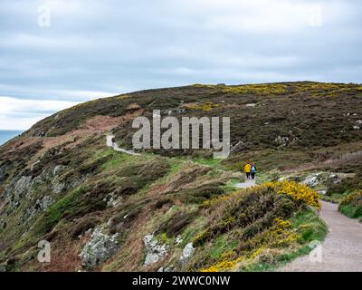 Spaziergänger auf dem Küstenweg am Howth Head nördlich von Dublin, Irland. Stockfoto