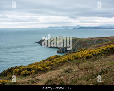 Blick auf den Bailey Lighthouse in Howth Head, im Norden von Dublin, Irland. Stockfoto