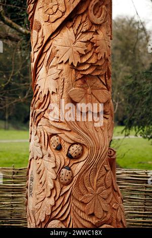 Nahaufnahme der Schnitzerei zum Gedenken an die Krönung von König Karl III. Das alte Carving Cirencester Park, Glos, Großbritannien Stockfoto