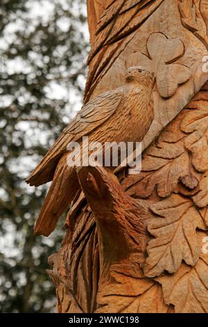 Nahaufnahme der Schnitzerei zum Gedenken an die Krönung von König Karl III. Das alte Carving Cirencester Park, Glos, Großbritannien Stockfoto