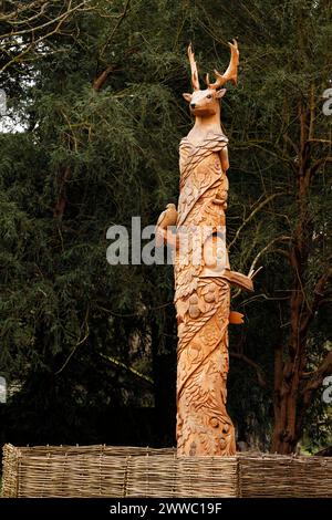 Nahaufnahme der Schnitzerei zum Gedenken an die Krönung von König Karl III. Das alte Carving Cirencester Park, Glos, Großbritannien Stockfoto